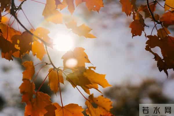 一群神秘人，正在悄悄拯救抑郁的孩子