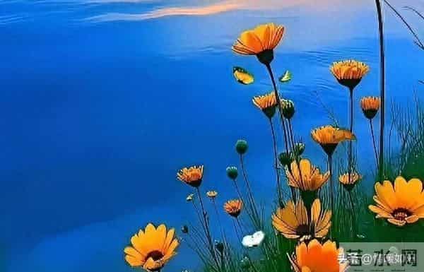 女人背叛婚姻后，心里藏着3个真相，比冷漠更伤人