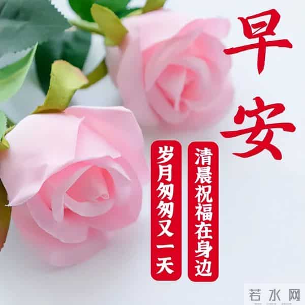 今日最新早上好金句,健康胜过一切祝福语,祝您健康快乐