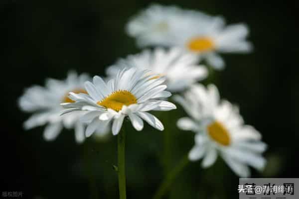 一群人攻击打压一个人，是一群恶人坏人在清除环境里的好和善