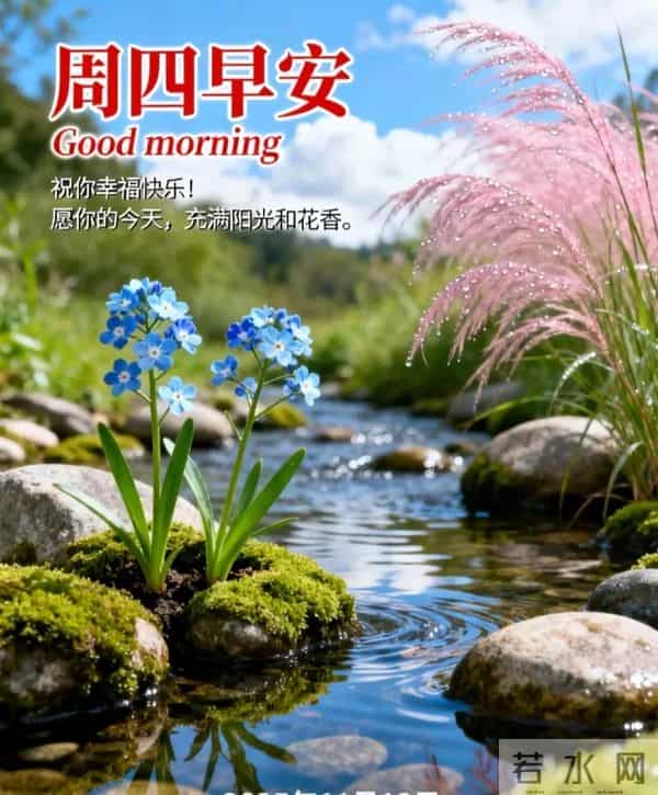 2025年12月11日周四早上好 早上好温馨问候语 今日早安祝福精美图片