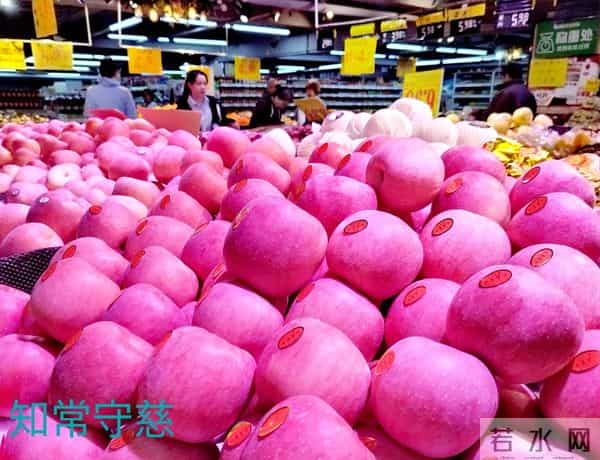 哥俩的命运（3）妻子支持，惨淡经营