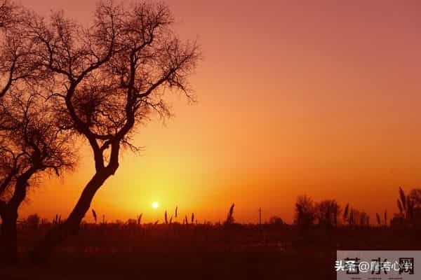 选择亲家，一定要留意对方家庭这4个细节，这才是真为儿女着想