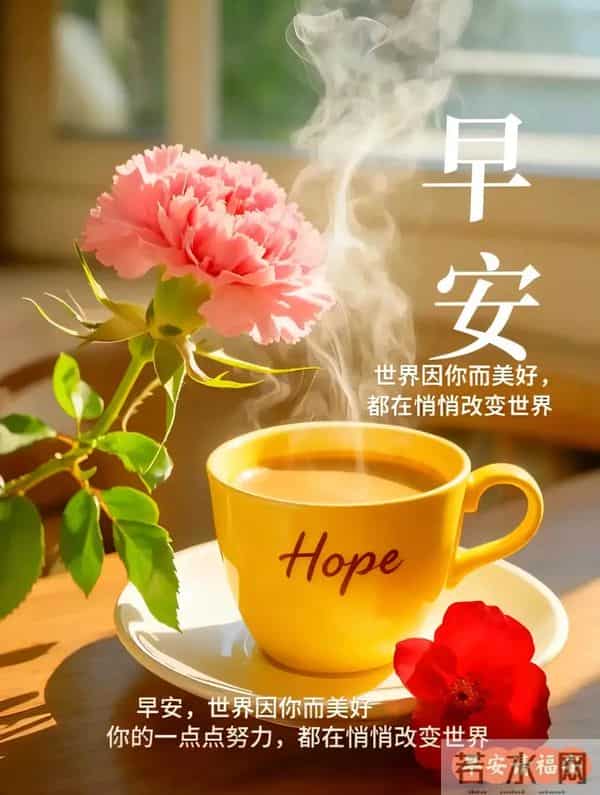 2025年12月12日周五早安 早上好图片最新今天 温馨淡雅的早安图片