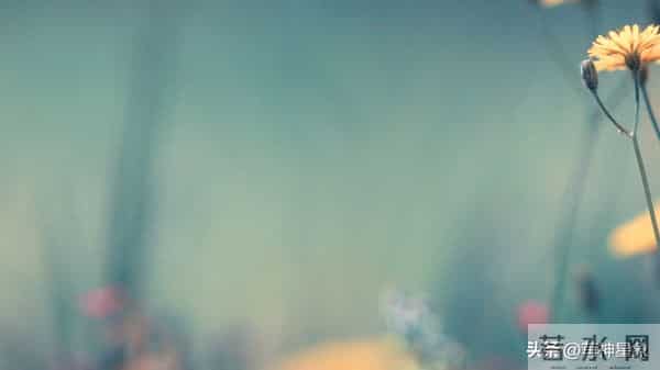 12月11日至12月17日，星期四，水瓶座，大事即将发生！