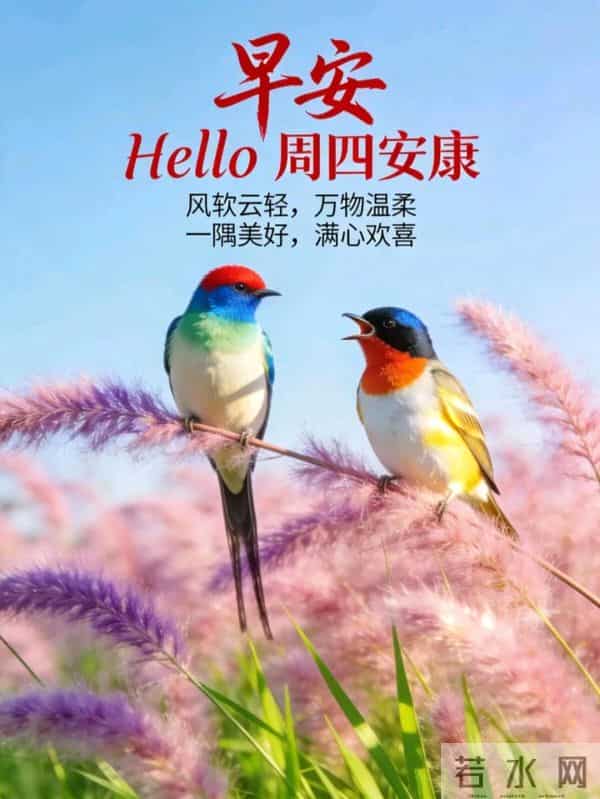 12月11日周四早安,旧岁将尽,冬意浓浓,愿你畏寒有衣,遇冷有暖