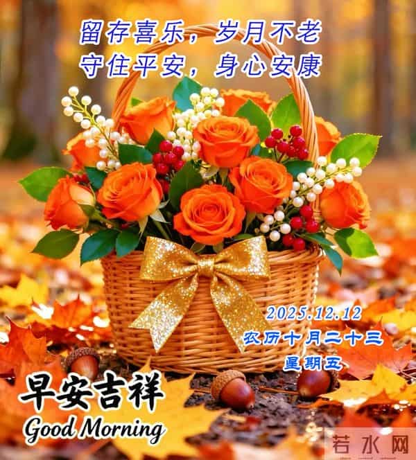 周五早安美图-允许一切如其所是，将心放宽，方能盛放更多宁静