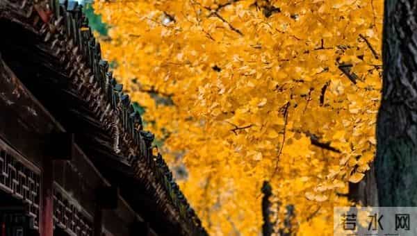 老了才明白：父母一旦超过75，立刻停止3种行为，否则晚景会凄凉