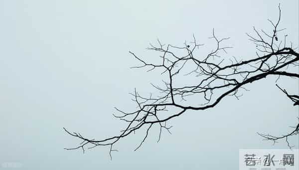 61岁的我，办了一场同学聚会后，才发现：44年的同学情也薄如纸