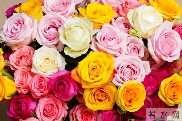 最喜欢的人是你，最想要的人必然也是你