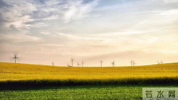 12月11日今日星座，双鱼座，会有事发生！