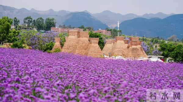 弥勒宇星公司送钻石了！名额有限～