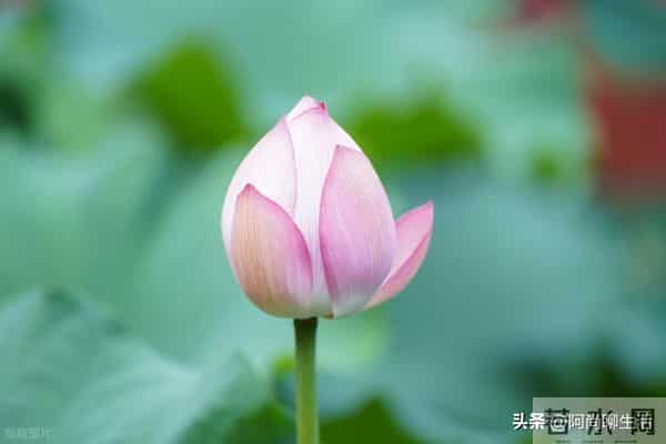 兄弟姐妹翻脸后，老大一定要主动低头认错和解，不然后悔终身！