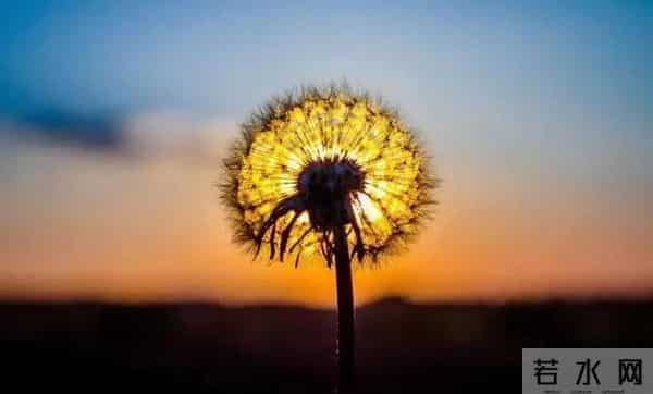 熬出头了，72年属鼠人，你的好日子来了