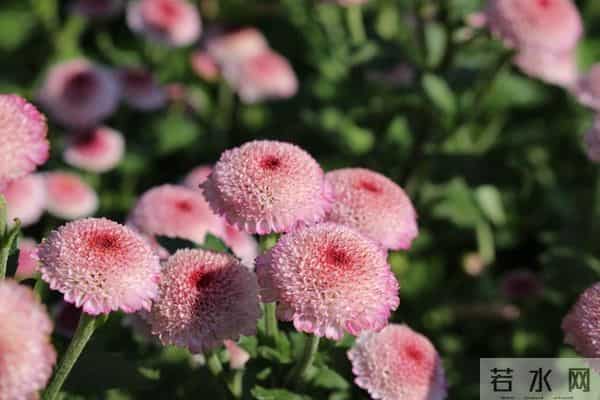 当遇见心头蜜糖宝贝，大声勇敢说爱，不负卿来不负己，让人间值得