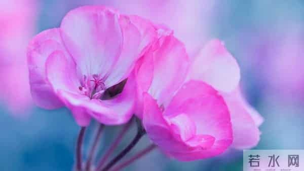 男人爱你的程度，在这一件事上，表现得淋漓尽致