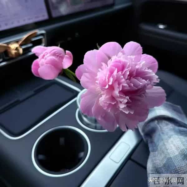 一个男人这么对你，其实就是在乎你