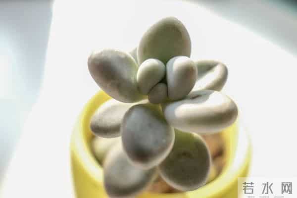 今年最后二十一天，好运开挂！ 这些星座财富积累加速，余额暴涨