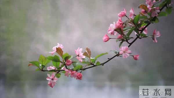 独生女毅然拒绝沦为家庭扶贫之对象，亲家却执着索要四居室之婚房