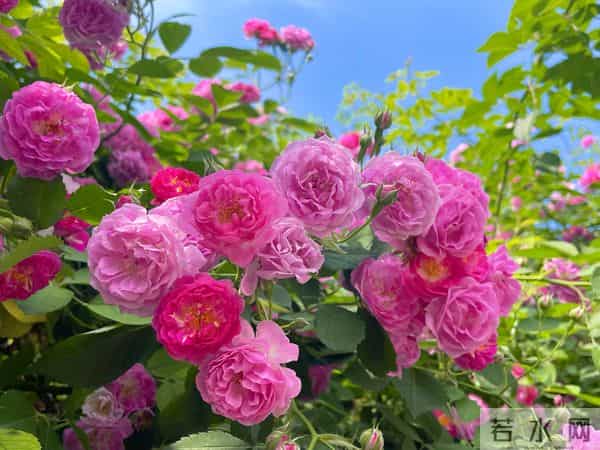 这15句大白话，比任何鸡汤都实在，看完心里敞亮多了！