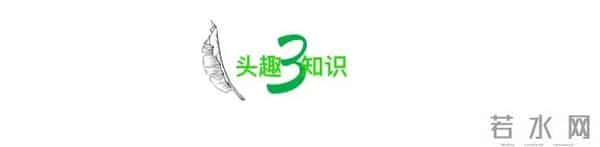 “把闺蜜打胎的秘密告诉了对象”引群嘲，暴露了人性最丑陋的真相