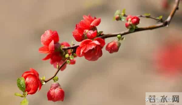 两性交往，这些“肉麻话”，女人很爱听，尤其是过了中年的女人