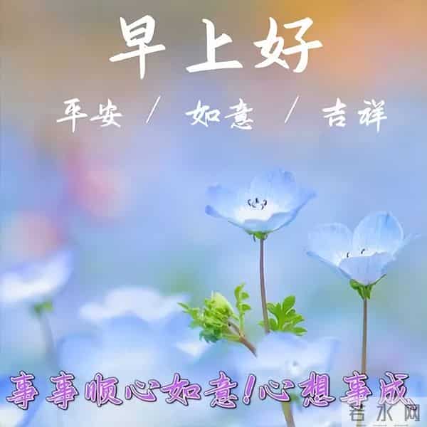 开心简短的早安佳句,高质量暖心问候,清晨又来到,向你问声好