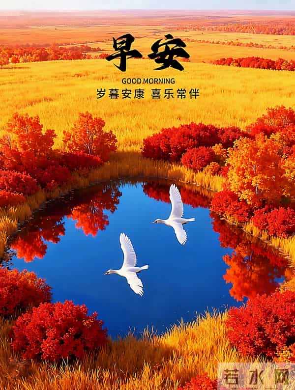 8张最新精美早安图片，冬意渐浓岁末至，愿您平安康健、年末顺遂~