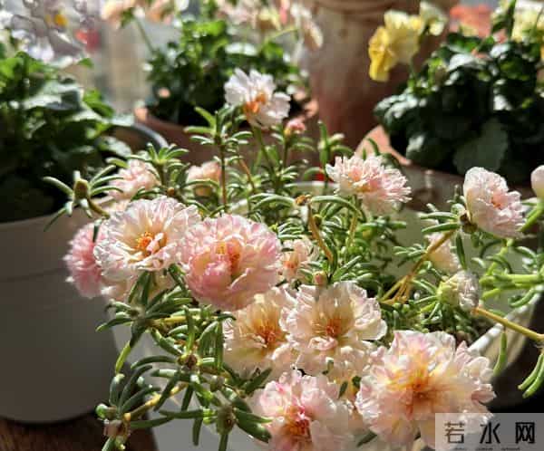 人生最稳的靠山：不是父母，不是伴侣，而是独立的自己