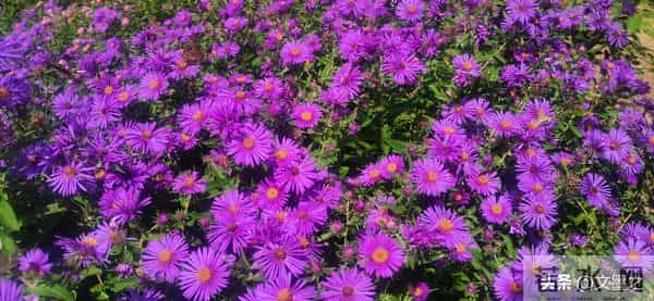 人老莫贪，过了六十，能混到这几点，就算有福之人，该知足了