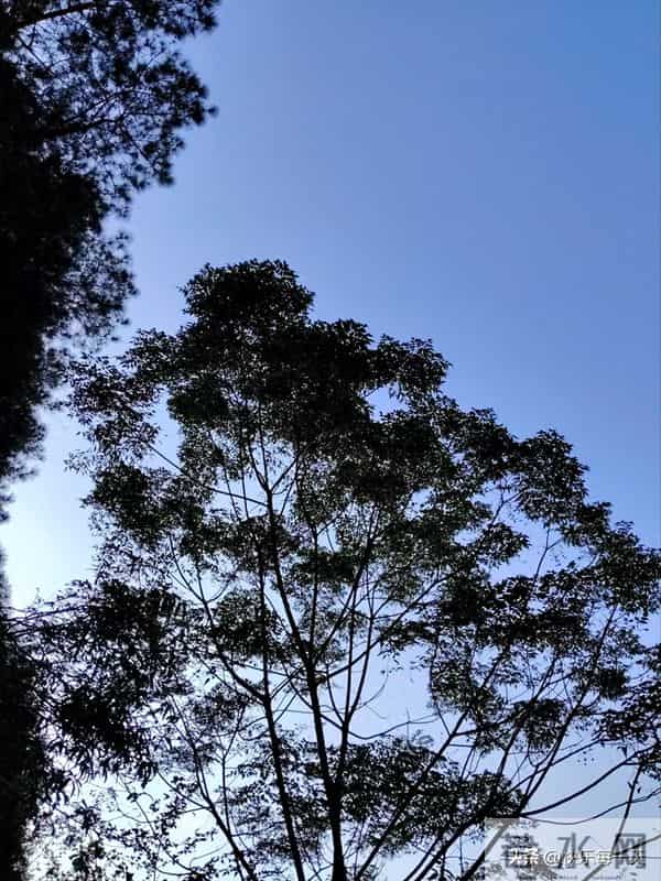 大堂姐哭坟，爹呀，我才给您洗了一回脚