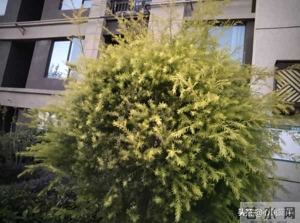 再安分的女人，包括中年女人，也难挡男人四大情感诱惑