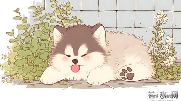 属狗人！12月13日至16日要出“大事”了，重点不在事，而在心态