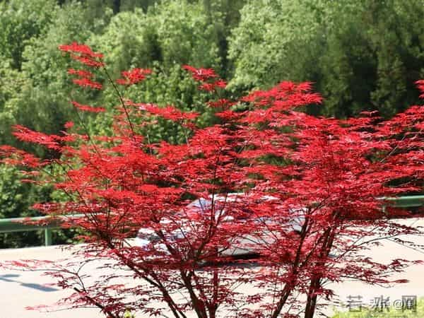 退休清华教授十条人生忠告:70岁后,一定要守住自己的幸福底线