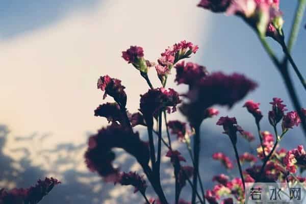 12月12日星座红黑榜-我接连几天都在黑榜，你呢