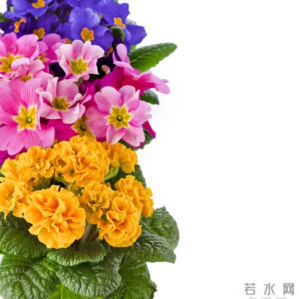 原来,女人动了情,会开这些玩笑