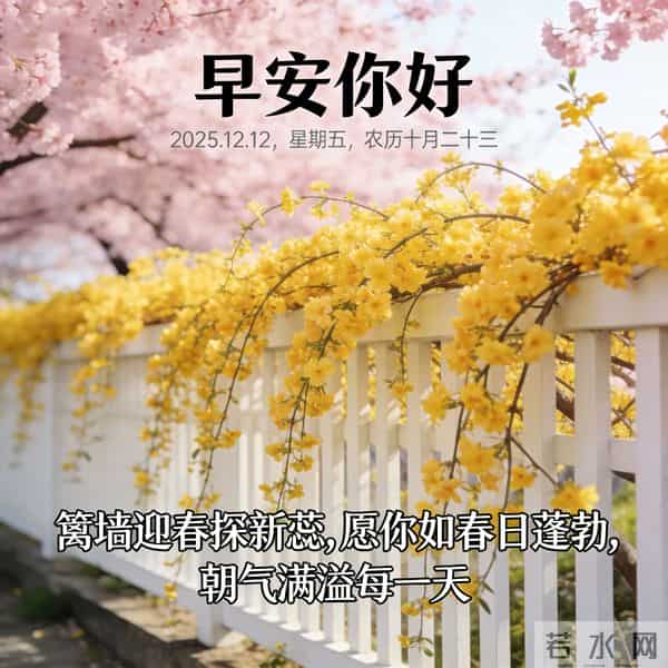 2025.12.12 早安祝福 年终盛会添喜气 晨起奋斗正当时 早安顺心好运来