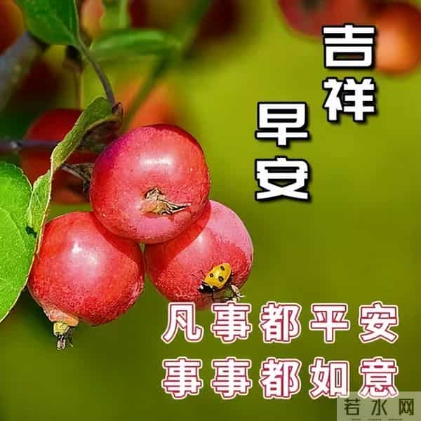 今日最新早上好金句,健康胜过一切祝福语,祝您健康快乐