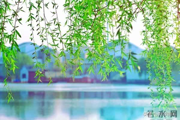 两性关系：万万没想到，70岁的女人最盼望男人"肉麻"示爱