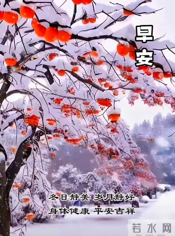 2025年12月12日周五早安 早上好图片最新今天 温馨淡雅的早安图片