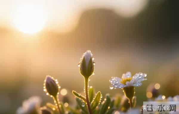 女人背叛婚姻后，心里藏着3个真相，比冷漠更伤人