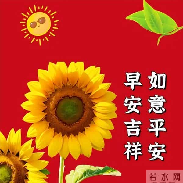 今日最新早上好金句,健康胜过一切祝福语,祝您健康快乐
