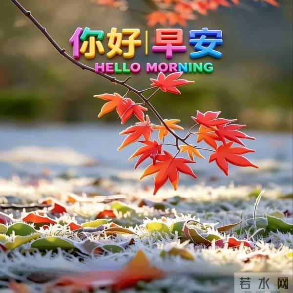 时光如梭匆匆逝，恍恍惚惚又一年 岁月无情不饶人，青丝白发朝夕间