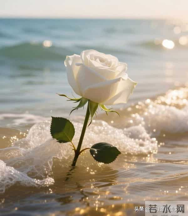 见与不见，真心依旧