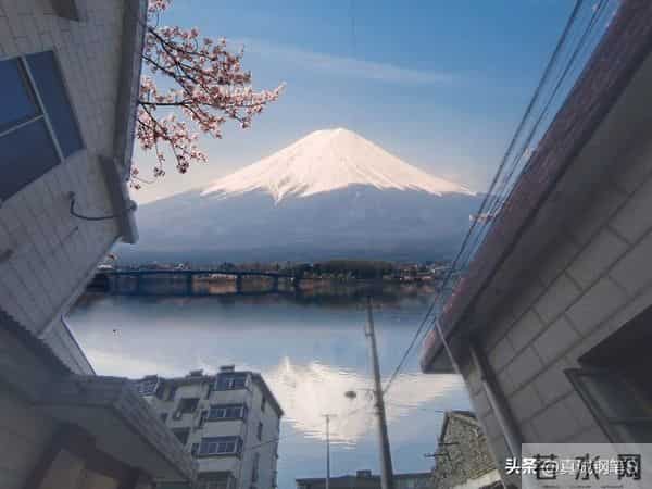 2026职场风云榜:三大星座即将迎来事业巅峰