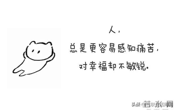 这5句话治好了我的年末焦虑！