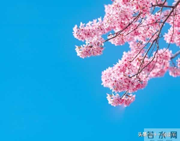 文字功底太绝！这些高级表达，摘抄下来直接提升文笔