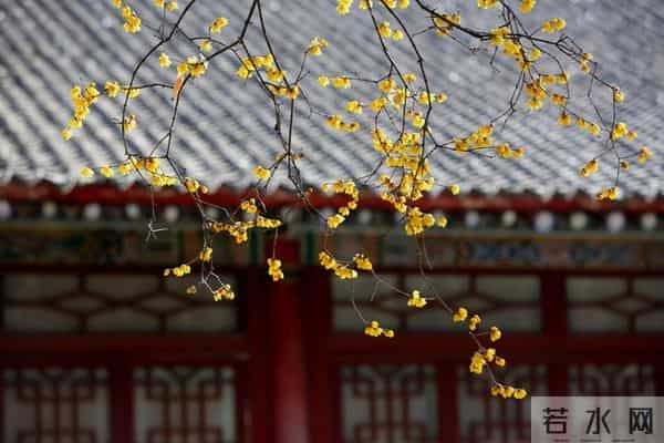 老了才明白：父母一旦超过70，立刻停止3种行为，否则晚景会凄凉