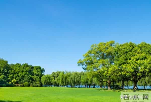 发现没？凡是男人带女人出去玩，女的都会穿裙子，你知道为什么吗