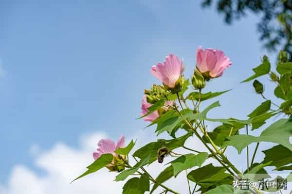 我照顾丁克小姨6年，意外看到遗嘱，果断离开不再联系